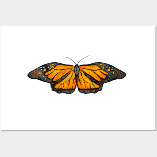 Butterflies Orange Posters and Art